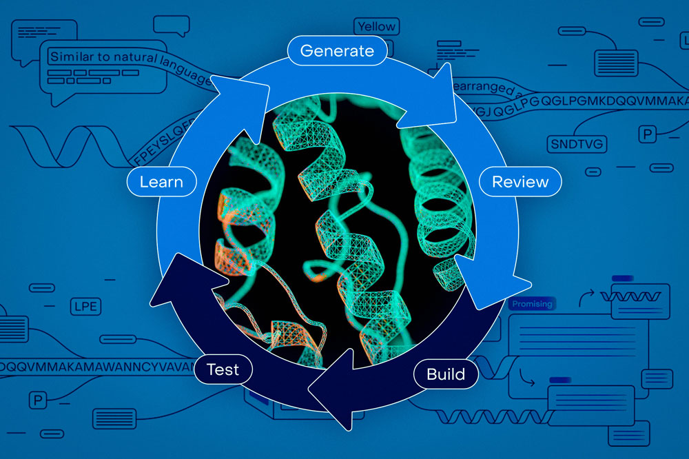 Circling arrows depict the looping process and say: “Test; Learn; Generate; Review; Build…” with stylized proteins in center.